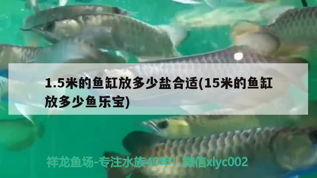 1.5米的鱼缸放多少盐合适(15米的鱼缸放多少鱼乐宝) 翡翠凤凰鱼