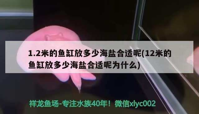 1.2米的鱼缸放多少海盐合适呢(12米的鱼缸放多少海盐合适呢为什么)