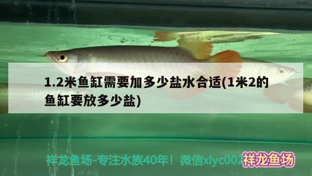 1.2米鱼缸需要加多少盐水合适(1米2的鱼缸要放多少盐)