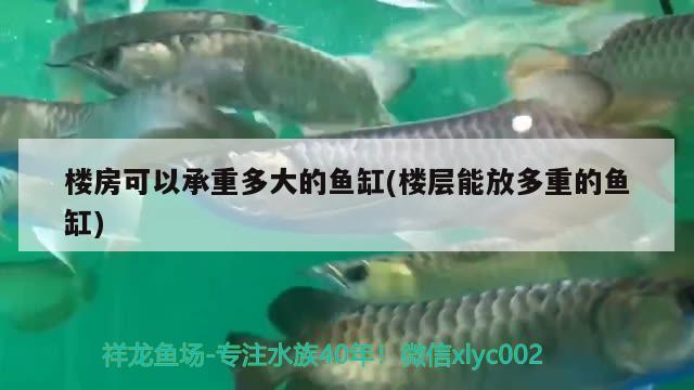 楼房可以承重多大的鱼缸(楼层能放多重的鱼缸)