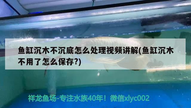 鱼缸沉木不沉底怎么处理视频讲解(鱼缸沉木不用了怎么保存?) 大湖红龙鱼