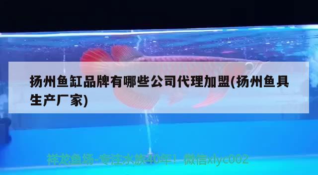 扬州鱼缸品牌有哪些公司代理加盟(扬州鱼具生产厂家) 祥龙传奇品牌鱼缸