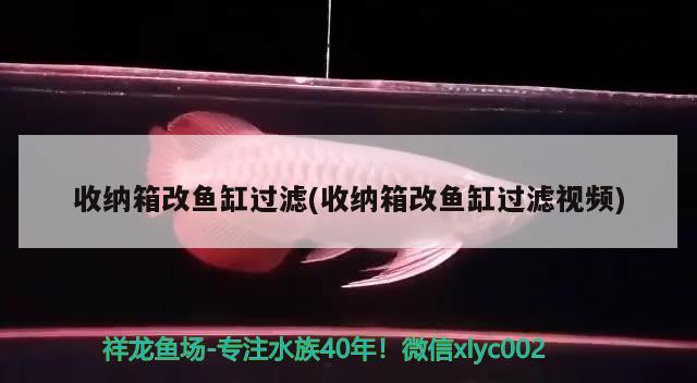 收纳箱改鱼缸过滤(收纳箱改鱼缸过滤视频)