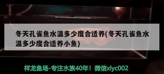 冬天孔雀鱼水温多少度合适养(冬天孔雀鱼水温多少度合适养小鱼) 观赏鱼