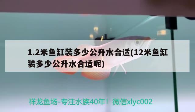 1.2米鱼缸装多少公升水合适(12米鱼缸装多少公升水合适呢) 观赏龟/鳖饲料