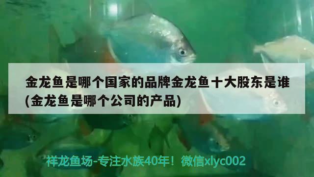 金龙鱼是哪个国家的品牌金龙鱼十大股东是谁(金龙鱼是哪个公司的产品)