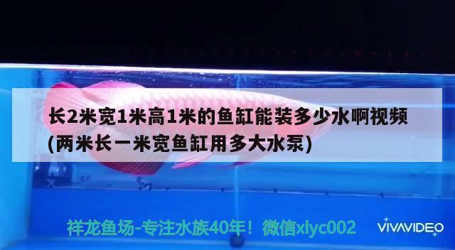 长2米宽1米高1米的鱼缸能装多少水啊视频(两米长一米宽鱼缸用多大水泵) 女王大帆鱼