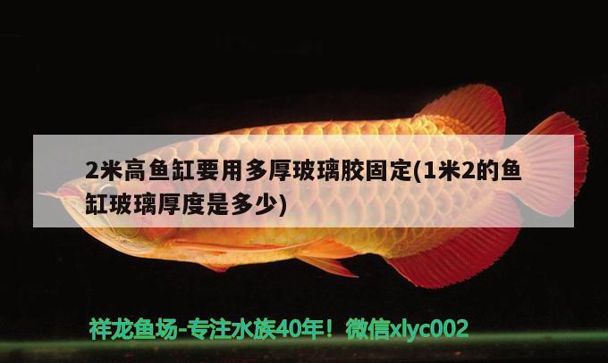 2米高鱼缸要用多厚玻璃胶固定(1米2的鱼缸玻璃厚度是多少) 水族杂谈