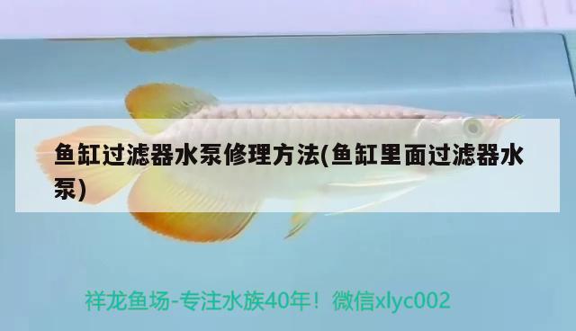 鱼缸过滤器水泵修理方法(鱼缸里面过滤器水泵) 2024第28届中国国际宠物水族展览会CIPS（长城宠物展2024 CIPS）