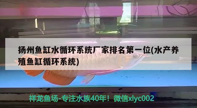 扬州鱼缸水循环系统厂家排名第一位(水产养殖鱼缸循环系统) 丹顶锦鲤鱼