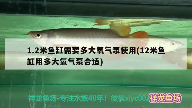 1.2米鱼缸需要多大氧气泵使用(12米鱼缸用多大氧气泵合适)