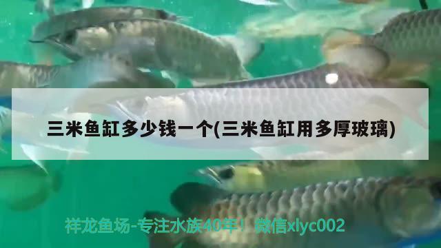 三米鱼缸多少钱一个(三米鱼缸用多厚玻璃)