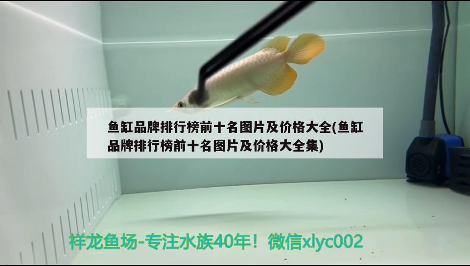 鱼缸品牌排行榜前十名图片及价格大全(鱼缸品牌排行榜前十名图片及价格大全集)