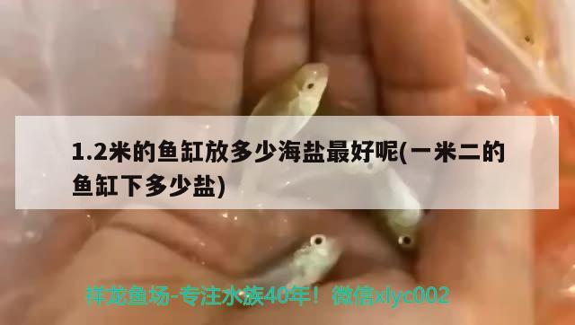 1.2米的鱼缸放多少海盐最好呢(一米二的鱼缸下多少盐) 飞凤鱼 第2张