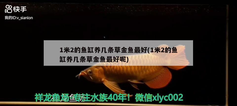 1米2的鱼缸养几条草金鱼最好(1米2的鱼缸养几条草金鱼最好呢) 祥龙金禾金龙鱼