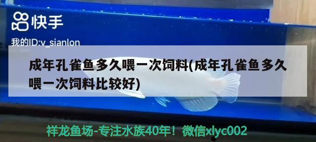 成年孔雀鱼多久喂一次饲料(成年孔雀鱼多久喂一次饲料比较好) 观赏鱼