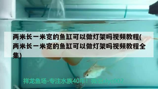 两米长一米宽的鱼缸可以做灯架吗视频教程(两米长一米宽的鱼缸可以做灯架吗视频教程全集)