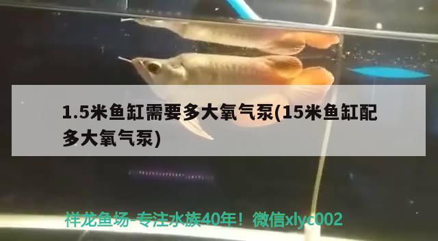 1.5米鱼缸需要多大氧气泵(15米鱼缸配多大氧气泵) 其它水族用具设备