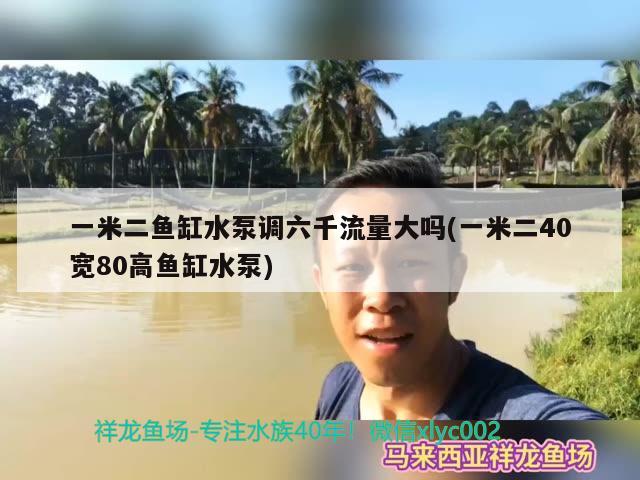 一米二鱼缸水泵调六千流量大吗(一米二40宽80高鱼缸水泵)