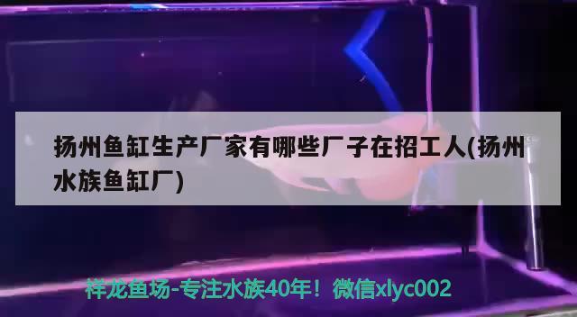 扬州鱼缸生产厂家有哪些厂子在招工人(扬州水族鱼缸厂) 祥龙金禾金龙鱼