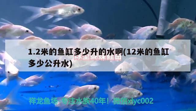 1.2米的鱼缸多少升的水啊(12米的鱼缸多少公升水)