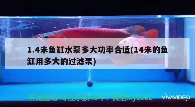 1.4米鱼缸水泵多大功率合适(14米的鱼缸用多大的过滤泵)