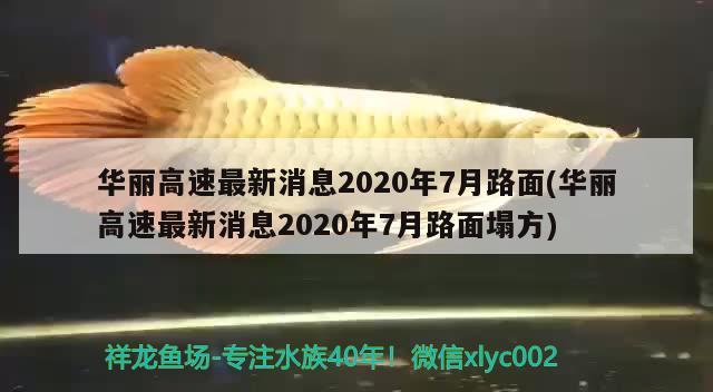 华丽高速最新消息2020年7月路面(华丽高速最新消息2020年7月路面塌方) 观赏鱼