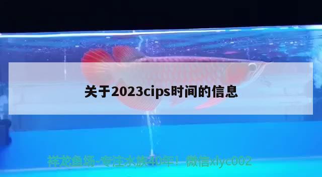 关于2023cips时间的信息