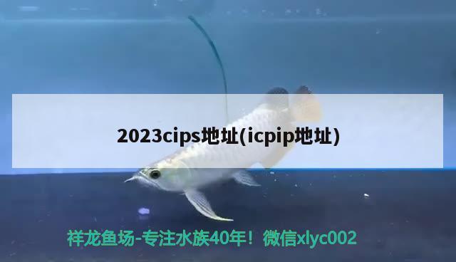 2023cips地址(icpip地址)