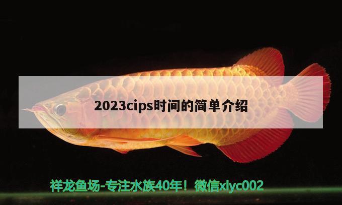 2023cips时间的简单介绍