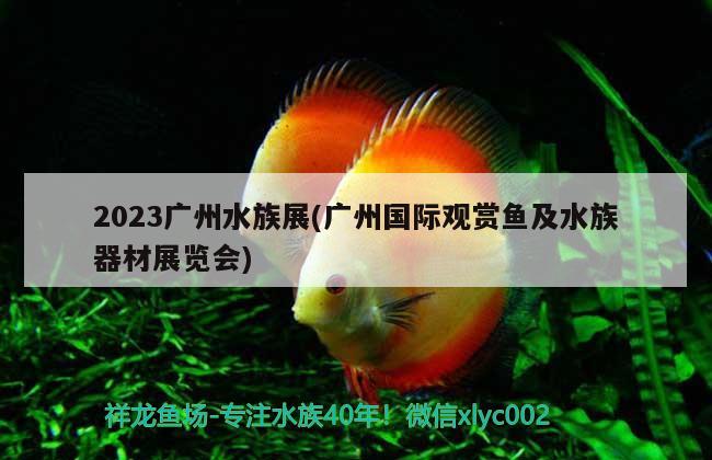 2023广州水族展(广州国际观赏鱼及水族器材展览会) 水族展会