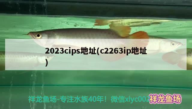 2023cips地址(c2263ip地址) 水族杂谈