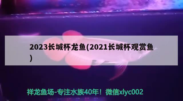 2023长城杯龙鱼(2021长城杯观赏鱼) 2024第28届中国国际宠物水族展览会CIPS（长城宠物展2024 CIPS）