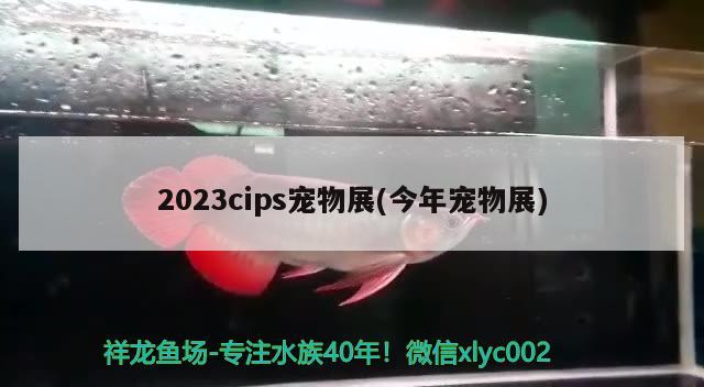 2023cips宠物展(今年宠物展) 水族杂谈