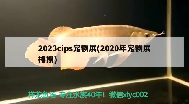 2023cips宠物展(2020年宠物展排期) 水族杂谈