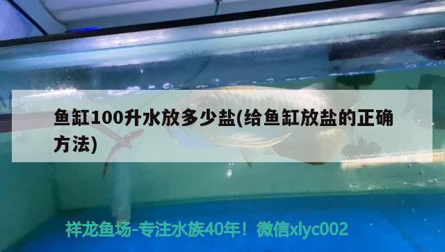 鱼缸100升水放多少盐(给鱼缸放盐的正确方法) 观赏鱼