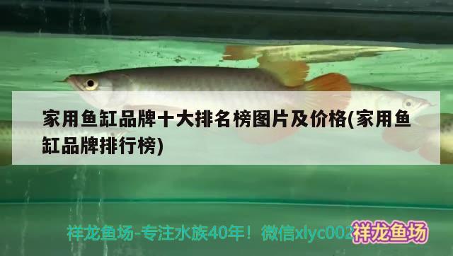 家用鱼缸品牌十大排名榜图片及价格(家用鱼缸品牌排行榜)