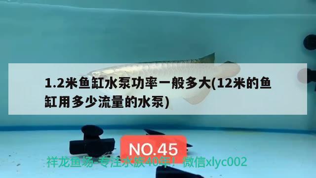 1.2米鱼缸水泵功率一般多大(12米的鱼缸用多少流量的水泵)