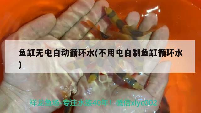 鱼缸无电自动循环水(不用电自制鱼缸循环水)