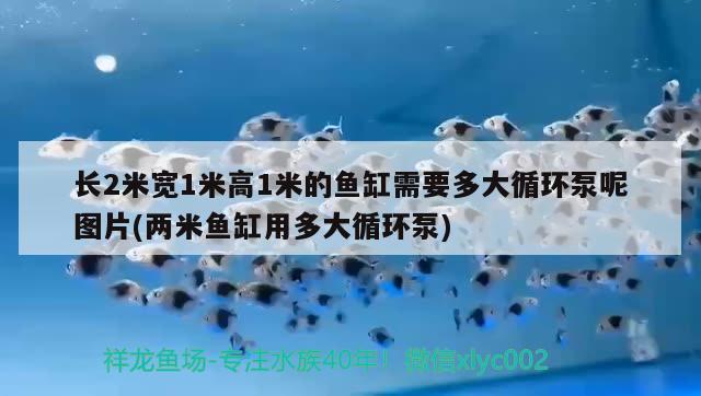 长2米宽1米高1米的鱼缸需要多大循环泵呢图片(两米鱼缸用多大循环泵)