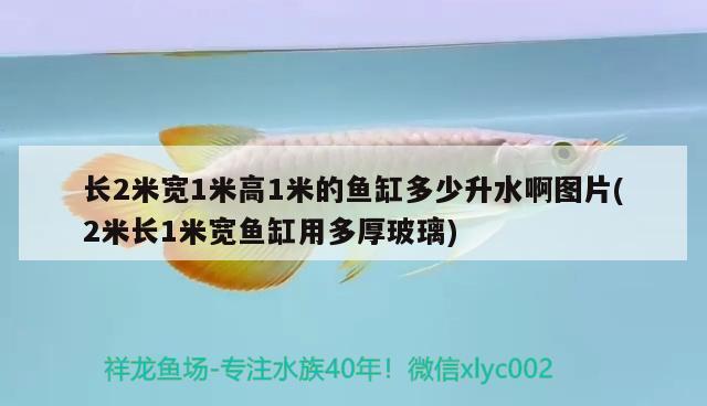 长2米宽1米高1米的鱼缸多少升水啊图片(2米长1米宽鱼缸用多厚玻璃)