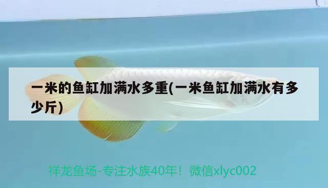 一米的鱼缸加满水多重(一米鱼缸加满水有多少斤) 野生埃及神仙鱼 第2张