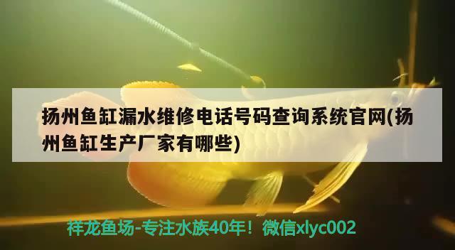 扬州鱼缸漏水维修电话号码查询系统官网(扬州鱼缸生产厂家有哪些)