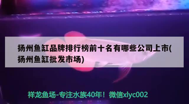 扬州鱼缸品牌排行榜前十名有哪些公司上市(扬州鱼缸批发市场) 充氧泵