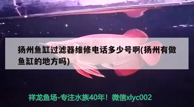 扬州鱼缸过滤器维修电话多少号啊(扬州有做鱼缸的地方吗)