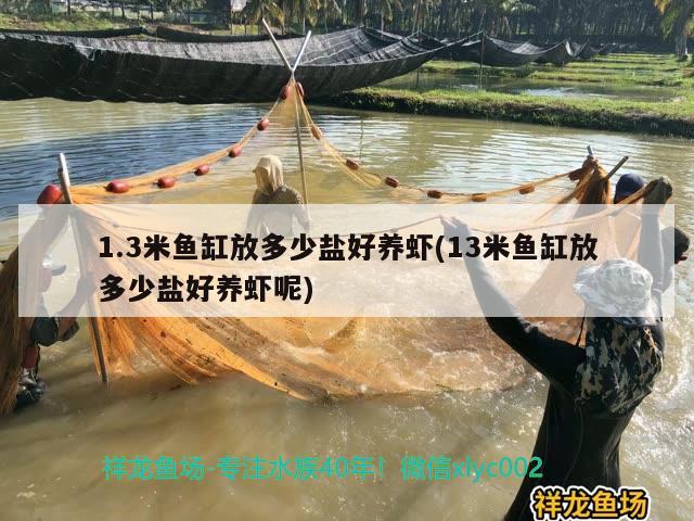 1.3米鱼缸放多少盐好养虾(13米鱼缸放多少盐好养虾呢) 水族世界