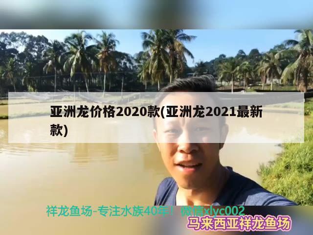 亚洲龙价格2020款(亚洲龙2021最新款)