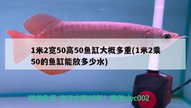 1米2宽50高50鱼缸大概多重(1米2乘50的鱼缸能放多少水) 苏虎