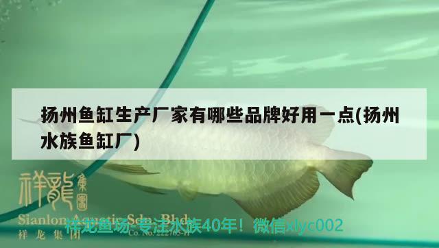 扬州鱼缸生产厂家有哪些品牌好用一点(扬州水族鱼缸厂)