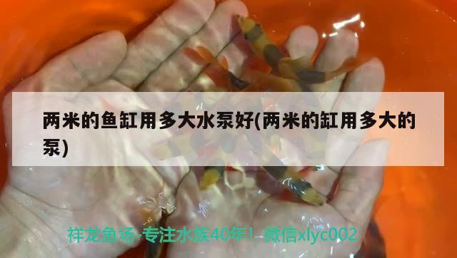 两米的鱼缸用多大水泵好(两米的缸用多大的泵)